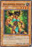 Amazoness Fighter — Dark Revelation 1 (DR1-115) Yu-Gi-Oh! card