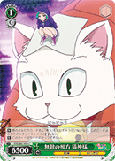 Cat God, Invincible Partner YYS/W61-044 Weiss Schwarz card